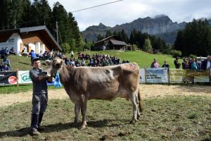 Schneuter ltere Fantastic Fanny